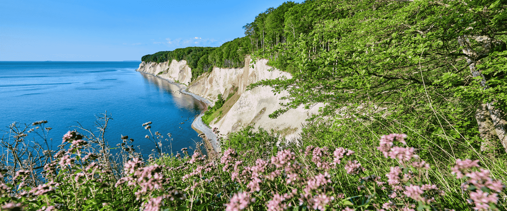 Die Kreidefelsen auf Rügen verzaubern zu jeder Jahreszeit