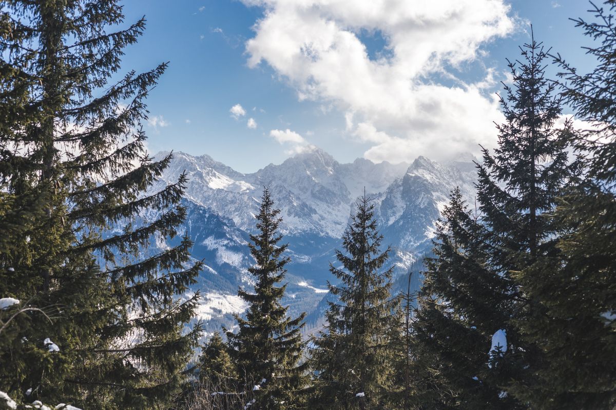 Bergwipfel im bei Zakopane im Süden Polens