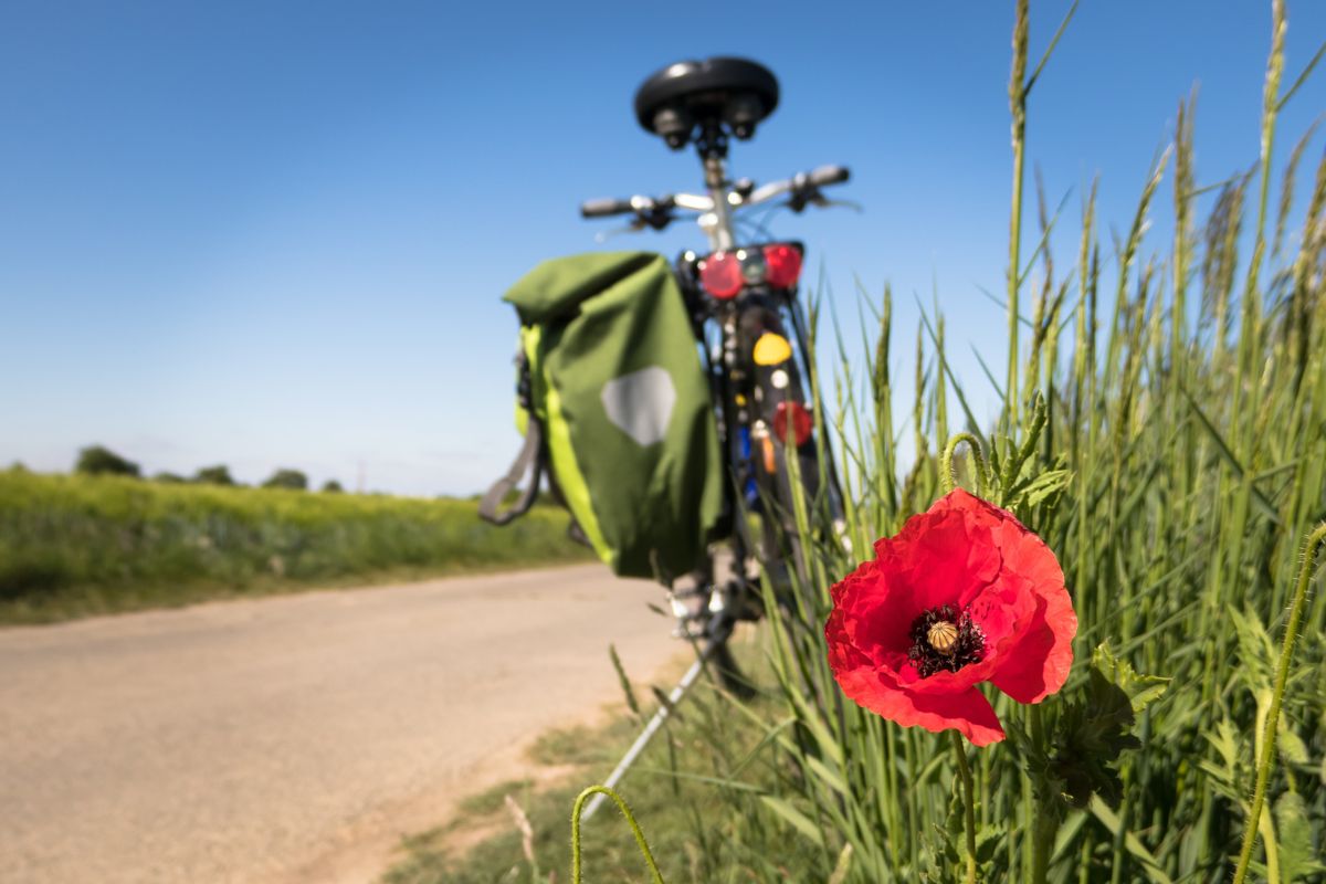 Radfahren, Oberpfalz