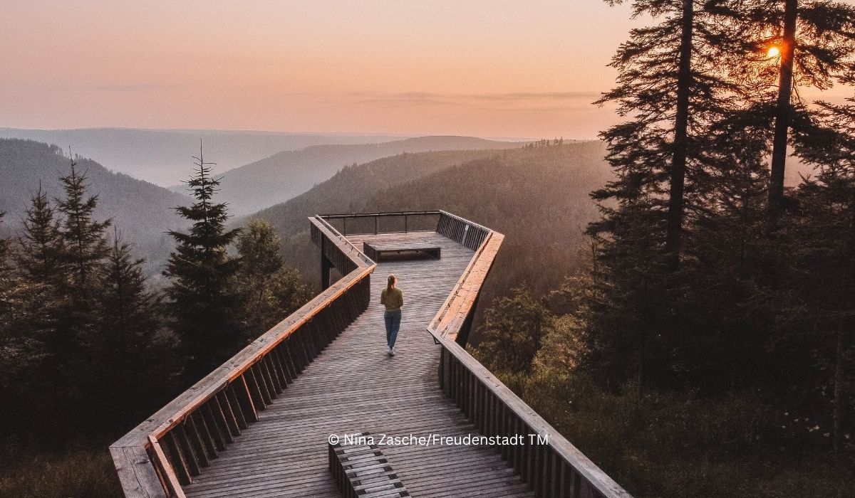 Frau im bei romantischem Sonnenuntergang im Schwarzwald