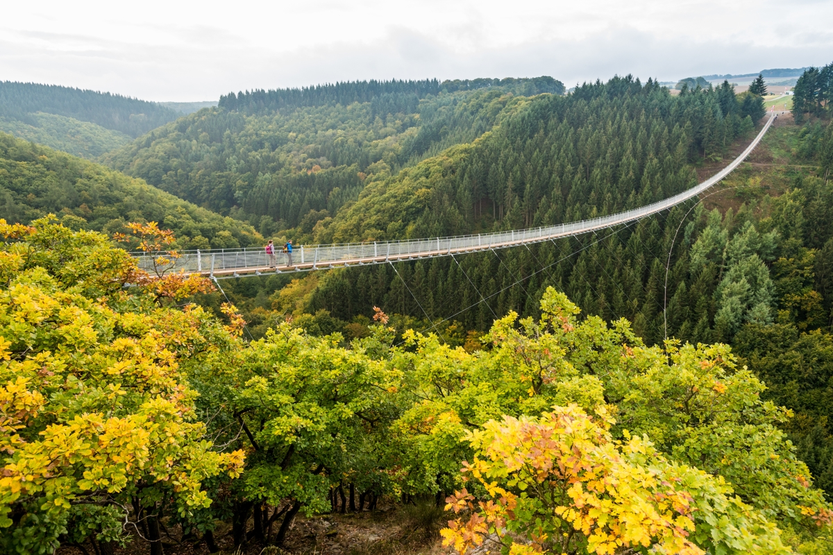 Hängebrücke in Rheinland-Pfalz